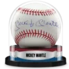Custom Baseball Display Case | The Original Balldome