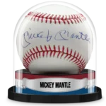 Custom Baseball Display Case | The Original Balldome