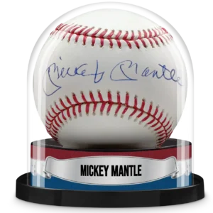 Custom Baseball Display Case | The Original Balldome