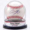 The Original Balldome - Custom Baseball Display Case