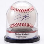 The Original Balldome - Custom Baseball Display Case