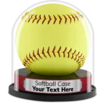 Custom Softball Display Case by Balldome