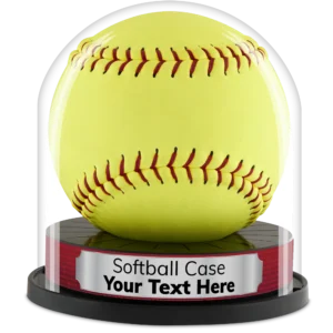 Custom Softball Display Case by Balldome