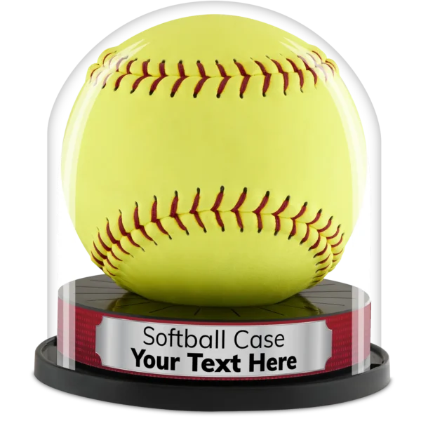 Custom Softball Display Case by Balldome