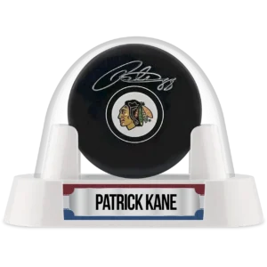 Custom Hockey Puck Display Case | Balldome