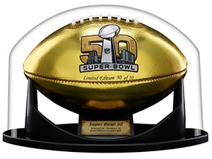 UV protected Football holder